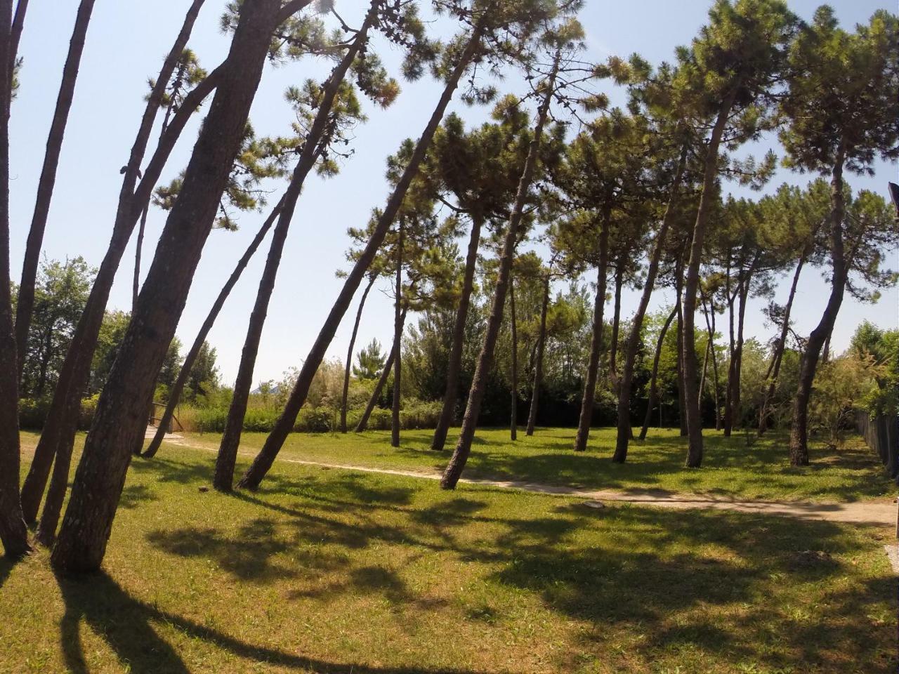 Corallo Apartments Cavallino-Treporti Kültér fotó